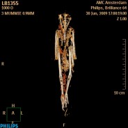 Scan [3] of bird mummy LB 1355 - CT.gif